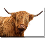 Senor Highlander Canvas Wall Art - 30 x 45