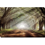 Forest Wonderland Canvas Wall Art - 38 X 60