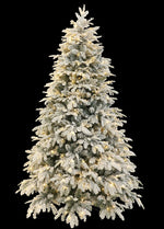 Aalborg 6 Ft Deep Forest Snow Spruce Pre-lit Christmas Tree - Warm White