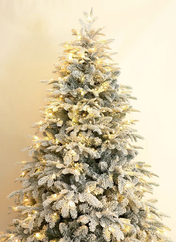 Aalborg 6 Ft Deep Forest Snow Spruce Pre-lit Christmas Tree - Warm White