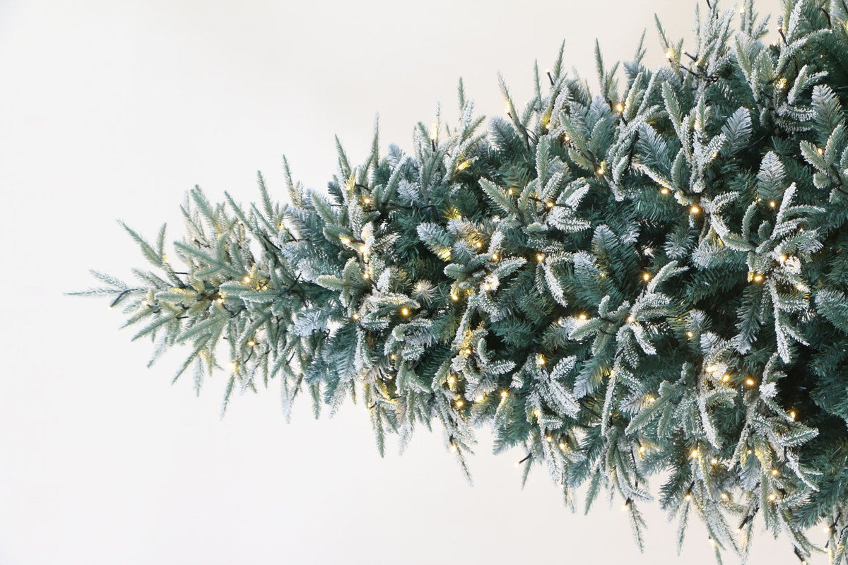 Utrecht 4 Ft Frosted Colorado ICY-Blue Pine Christmas Tree Pre-lit with LED Lights - Warm White