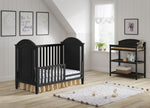 Delia Cottage Crib and Toddler Rail - Black