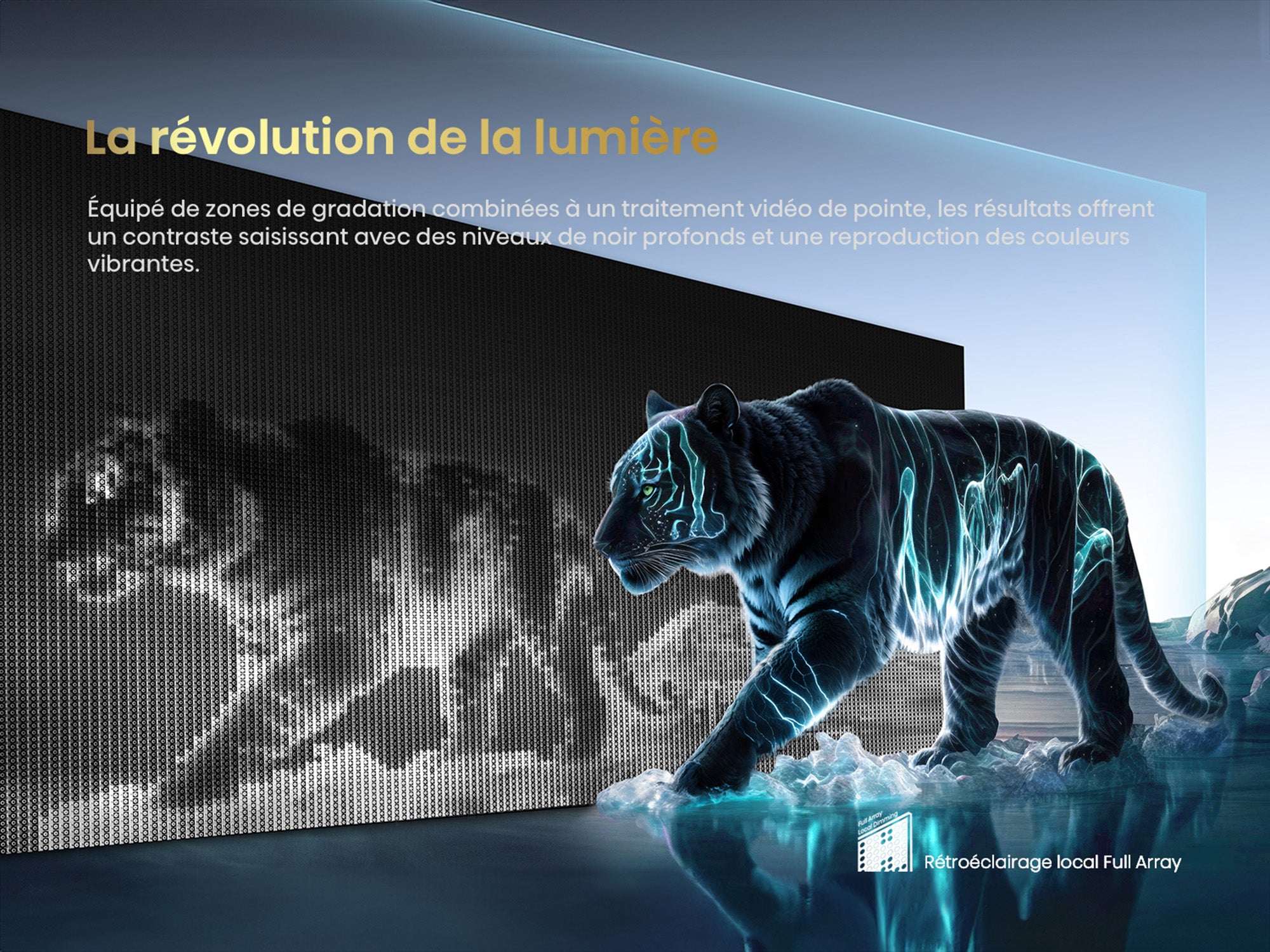 Hisense Téléviseur intelligent 85 po QLED mini DEL 4K 85QD7QFM--