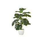 24" Monstera Plant with 5" White Pot - Green - Set of Two