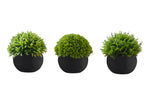 5" Succulent Plant with Black Pot - Green - Set of 3