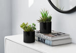 7" Succulent Plant with 3" Black Pot - Green - Set of 2
