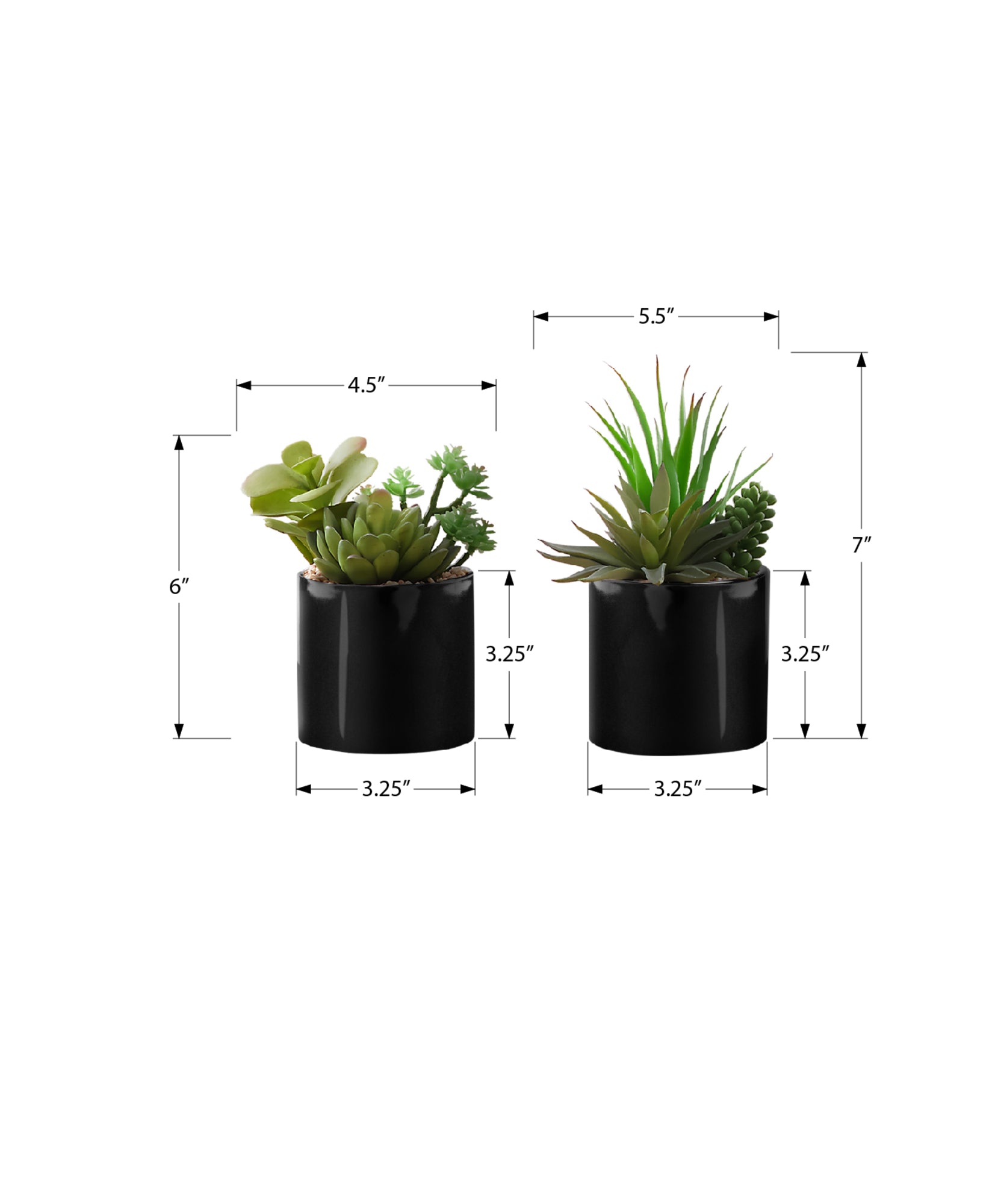 7" Succulent Plant with 3" Black Pot - Green - Set of 2