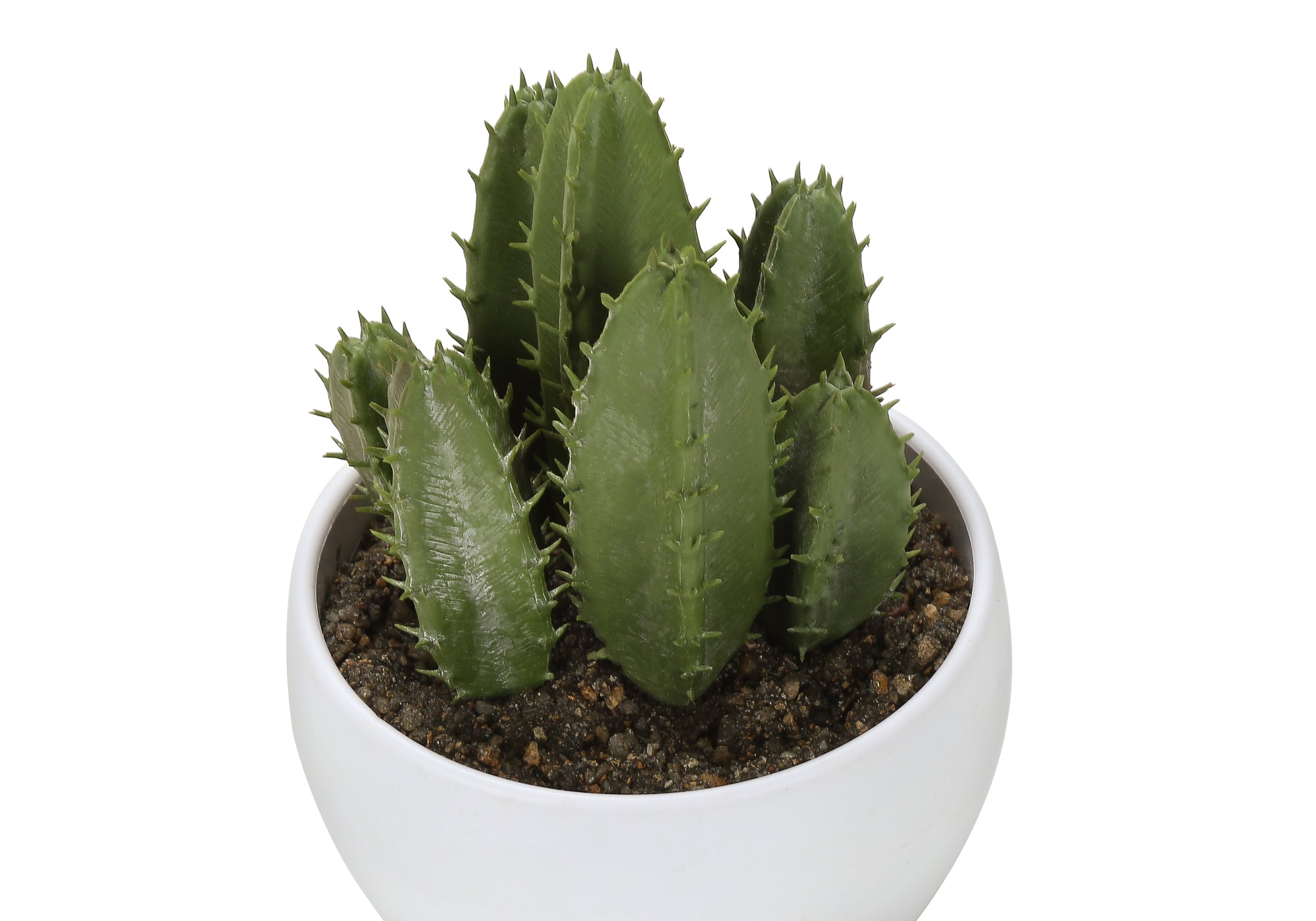 6" Succulent Plant with White Pot - Green - Set of 3
