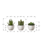 6" Succulent Plant with White Pot - Green - Set of 3