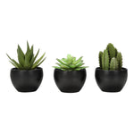 6" Succulent Plant with Black Pot - Green - Set of 3