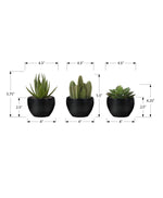 6" Succulent Plant with Black Pot - Green - Set of 3