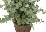 13" Eucalyptus and Grass Plants with 5" Brown Pot - Green - Set of Two