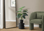 24" Alocasia Plant With 5" Black Pot - Green