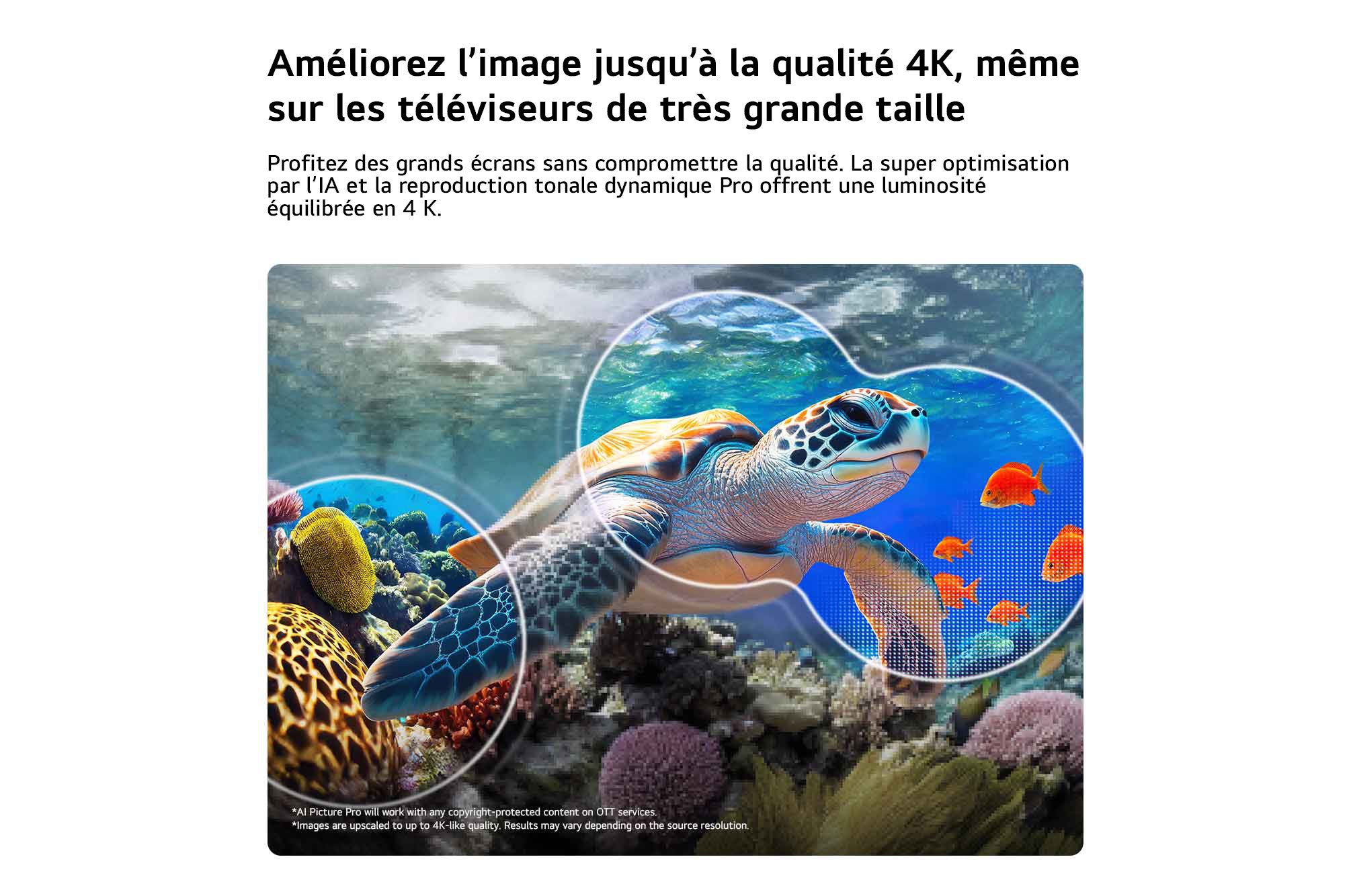 LG Téléviseur intelligent 100po QNED MiniDEL evo IA UHD 4K avec webOS – 100QNED84B--