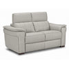 Orlando-Ray Causeuse en cuir – gris