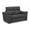 Orlando-Ray Causeuse en cuir – gris foncé