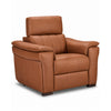 Orlando-Ray Fauteuil en cuir – cognac