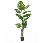 Garden Party 5.91ft Artificial Indoor Yucca Plant