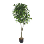 Garden Party 5.91ft Artificial Indoor Ficus Tree