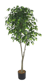 Garden Party 5.91ft Artificial Indoor Ficus Tree