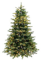 Talinn 5ft European Balsam Fir Pre-Lit LED Christmas Tree - Warm White/Multi-coloured
