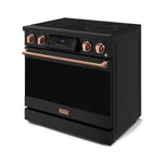 Thor Kitchen Black Stainless Steel Freestanding Professional Electric Range|Gordon Ramsay Series (6 cu.ft) - RSE36B-RSG