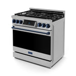 Thor Kitchen Stainless Steel Freestanding Professional Gas Range|Gordon Ramsay Series (6 cu.ft.) - RSG36-BLU