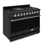 Thor Kitchen Black Stainless Steel Freestanding Professional Double Oven Gas Range|Gordon Ramsay Series ( 7 cu.ft.) - RSG48EB-SS
