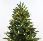 Silvan 6ft Forest Green Pine LED Pre-lit Christmas Tree - Warm White/Multi-coloured