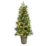 Makalu 4ft National Pine Mix Pre-lit Potted Christmas Tree - Warm White