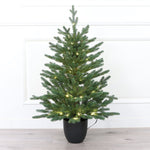 Kiruna 3 Ft Potted Balsam Fir Tabletop Christmas Tree - Warm White