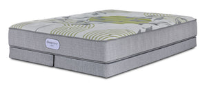 Beautyrest BeautySleep® Max Calm plateau régulier ferme Ens. Matelas très grand et demi-sommiers profil bas