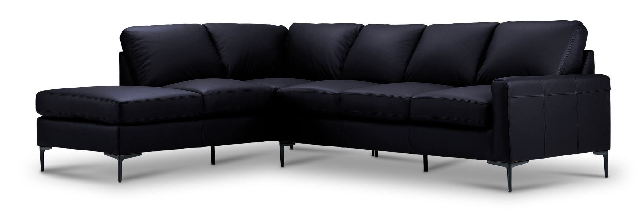Chito Leather 2-Piece Sectional with Left Facing Chaise - Raven