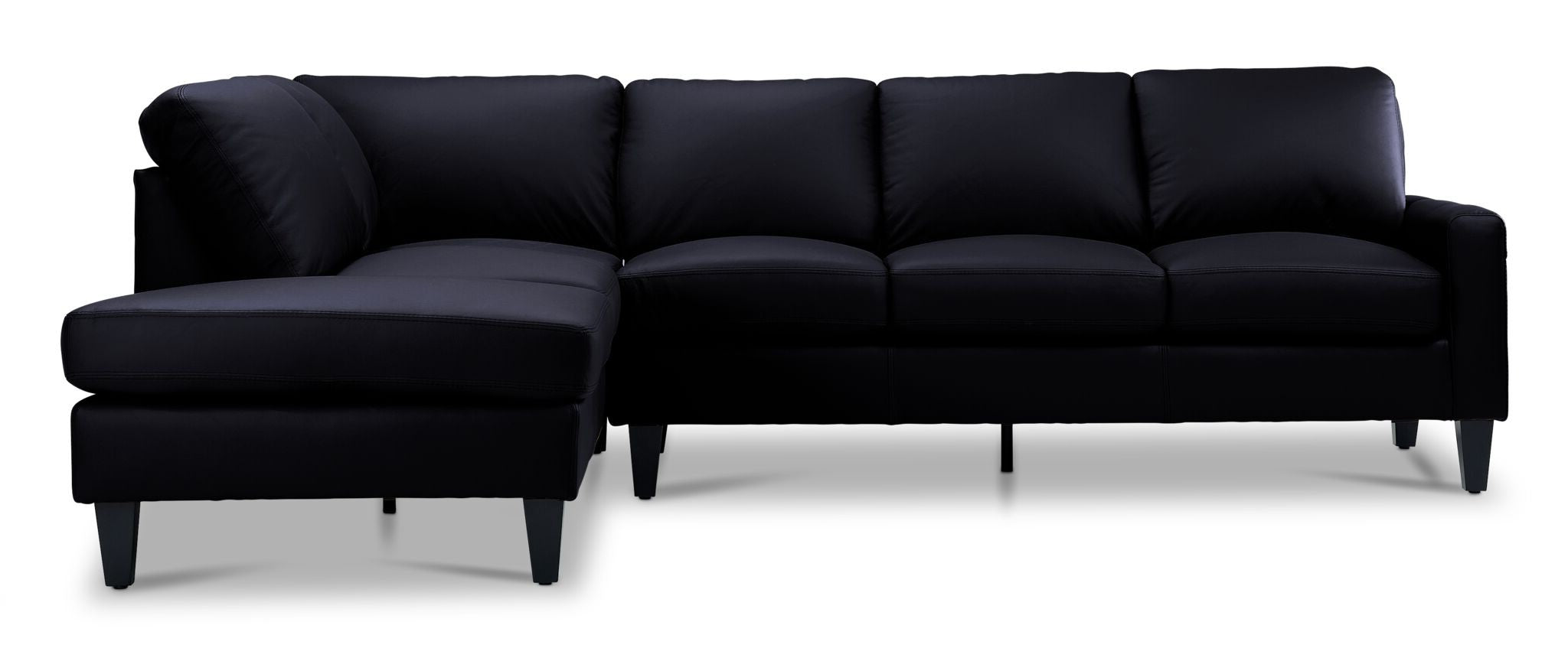 Chito Leather 2-Piece Sectional with Left Facing Chaise - Raven