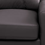 Chito Leather 2-Piece Sectional with Left Facing Chaise - Mocha