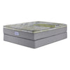 En pleine floraison - Beautyrest BeautySleep® Max Drift moyen à plateau euro Ens. Matelas simple et sommier