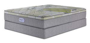En pleine floraison - Beautyrest BeautySleep® Max Drift moyen à plateau euro Ens. Matelas simple et sommier
