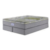En pleine floraison - Beautyrest BeautySleep® Max Drift moyen à plateau euro Ens. Matelas grand et demi-sommiers