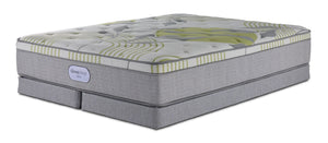 En pleine floraison - Beautyrest BeautySleep® Max Drift moyen à plateau euro Ens. Matelas très grand et demi-sommiers à profil bas