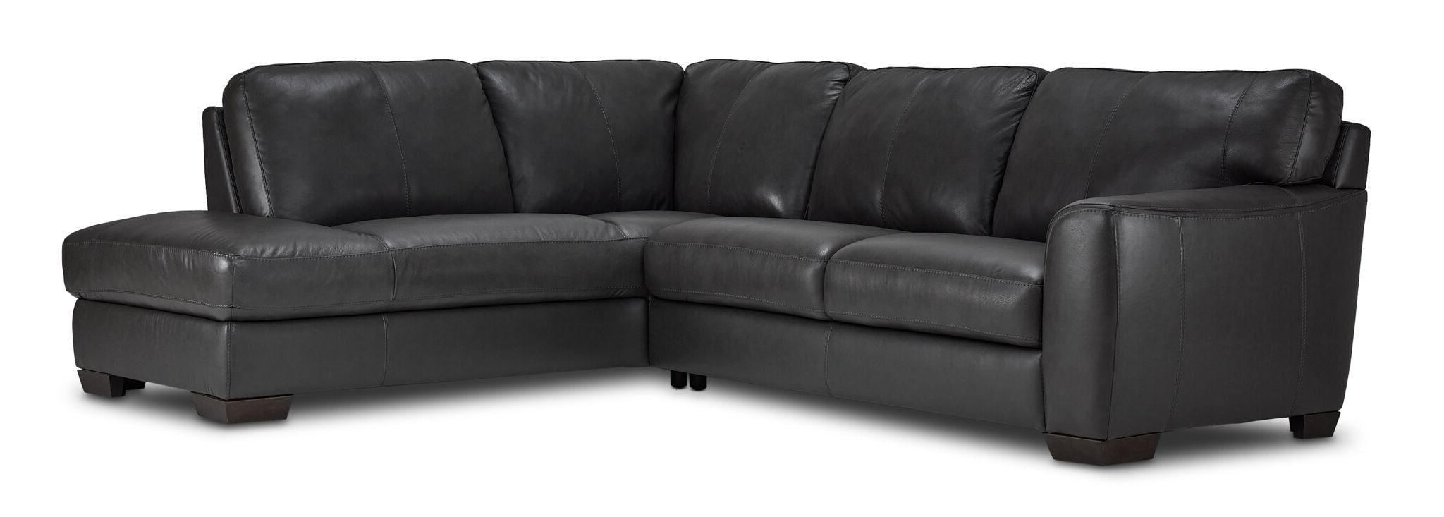 Halden Leather 2-Piece Sectional with Left Facing Chaise - Carbon Grey