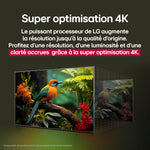 LG Téléviseur intelligent 86 po DEL UHD 4K 86UA7500ZUA--