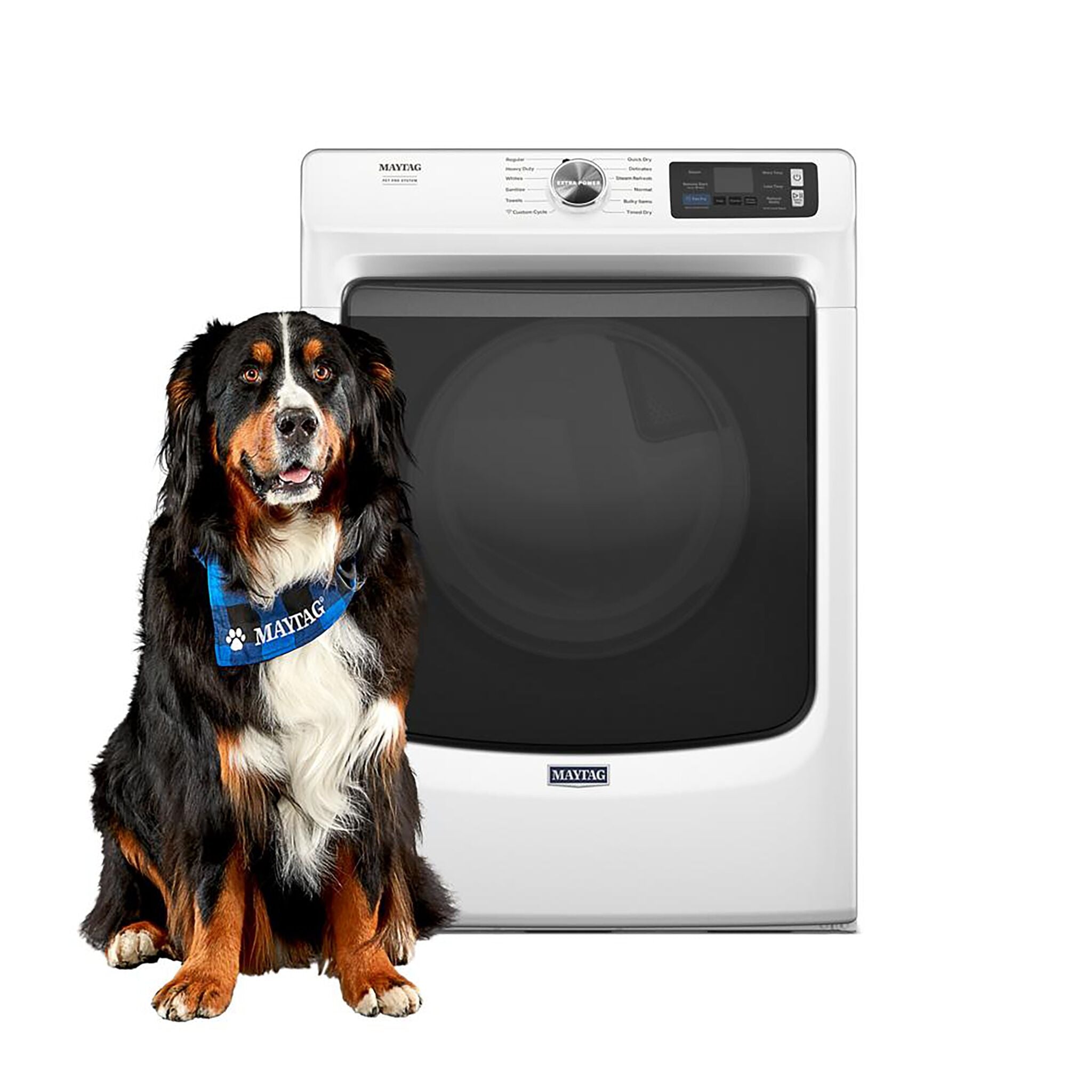 Maytag White Gas Dryer with Pet Pro (7.4 Cu.Ft.) - MGD7020RW