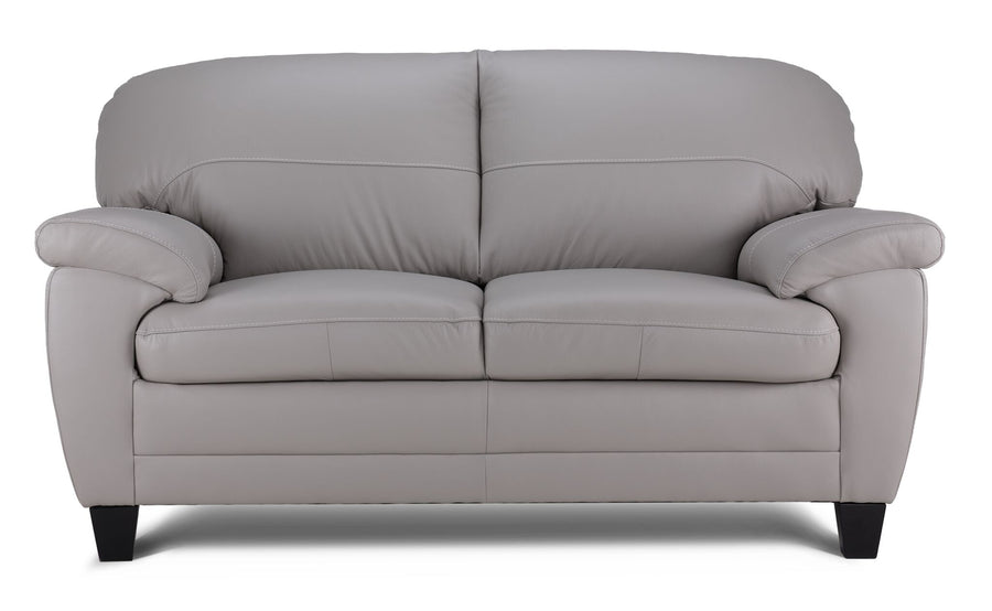 Raphael Leather Loveseat - Cloud Grey