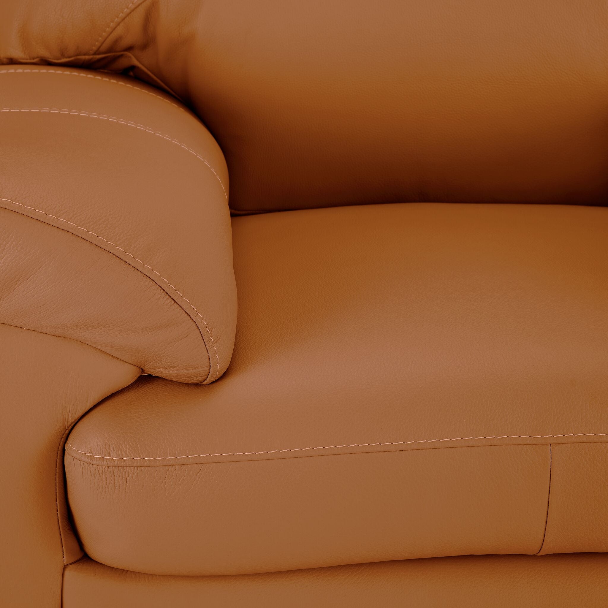Raphael Leather Loveseat - Saddle