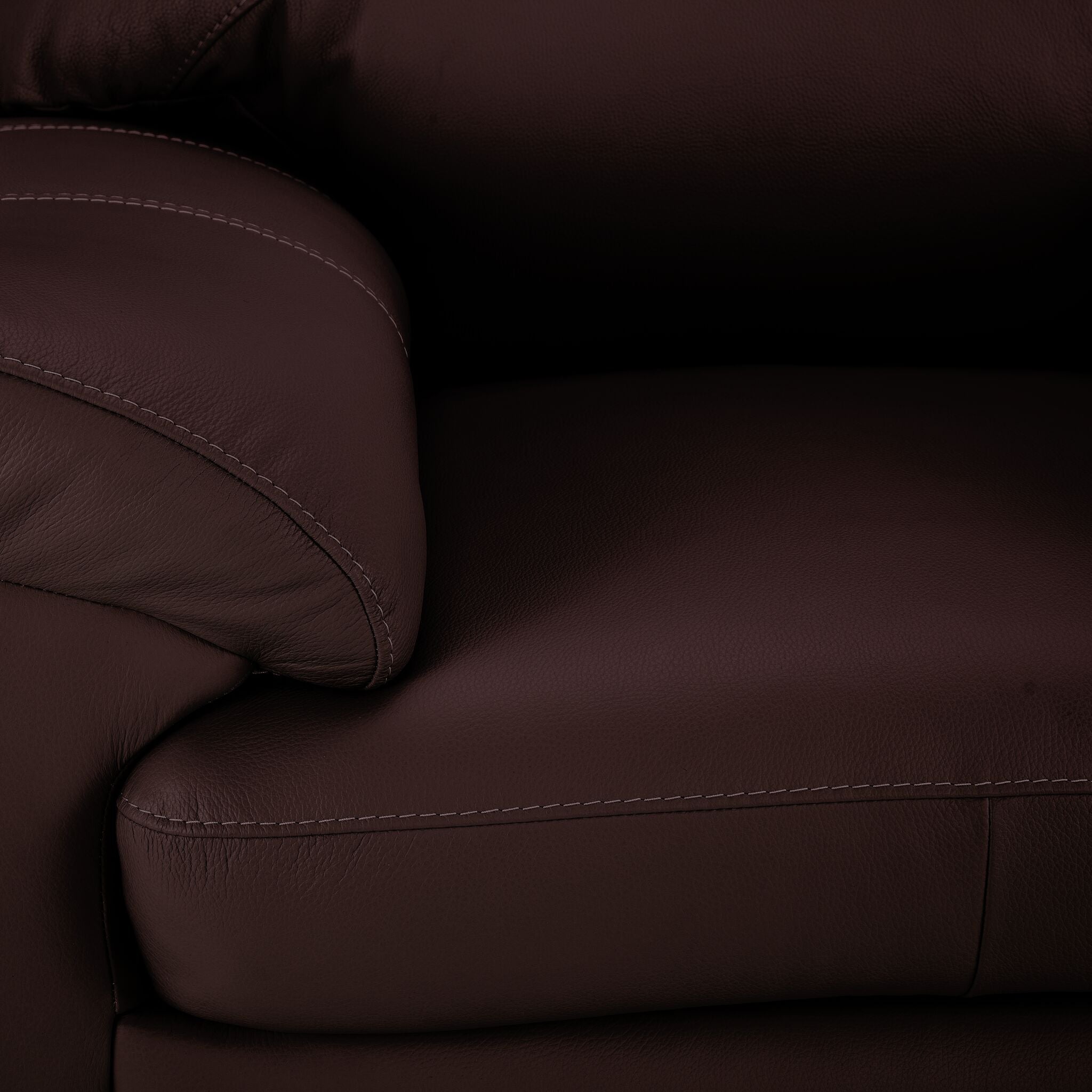 Raphael Leather Loveseat - Mocha