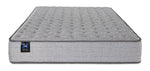 Sealy Burchelle Extra Firm Tight Top Queen mattress with tufted grey surface and Sealy branding, front view