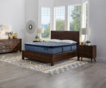 Serta® Perfect Sleeper Triumph Firm Euro Top Queen Mattress