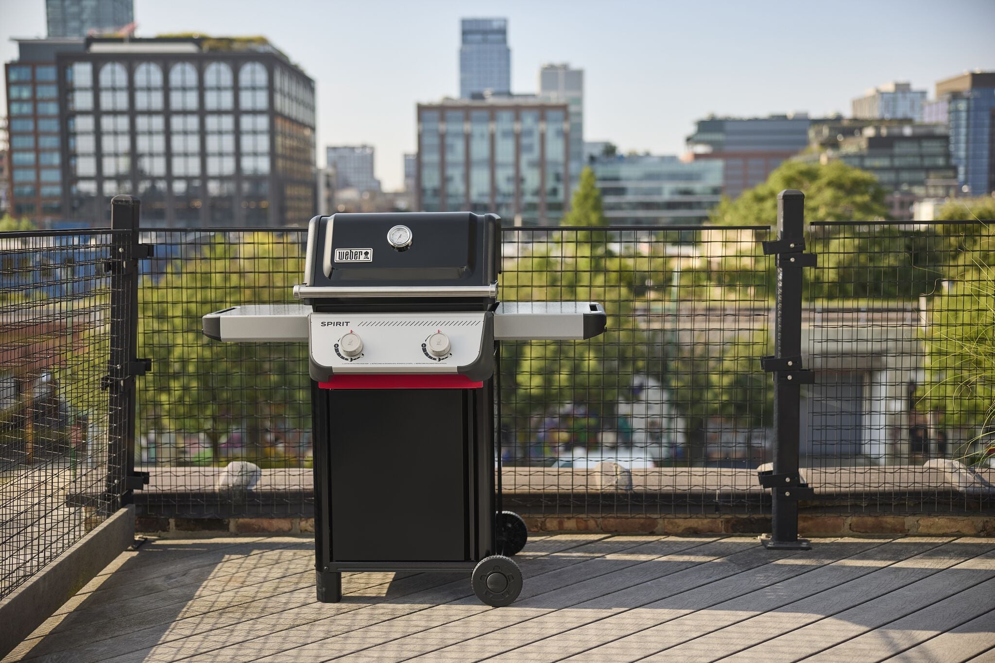 Weber Spirit E-210 Gas Grill (Liquid Propane) - 1501000
