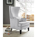 Bandini Velvet Accent Chair - Silver
