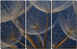 Blue Dandelions Wall Art - Blue - 45 X 30 - Set of 3